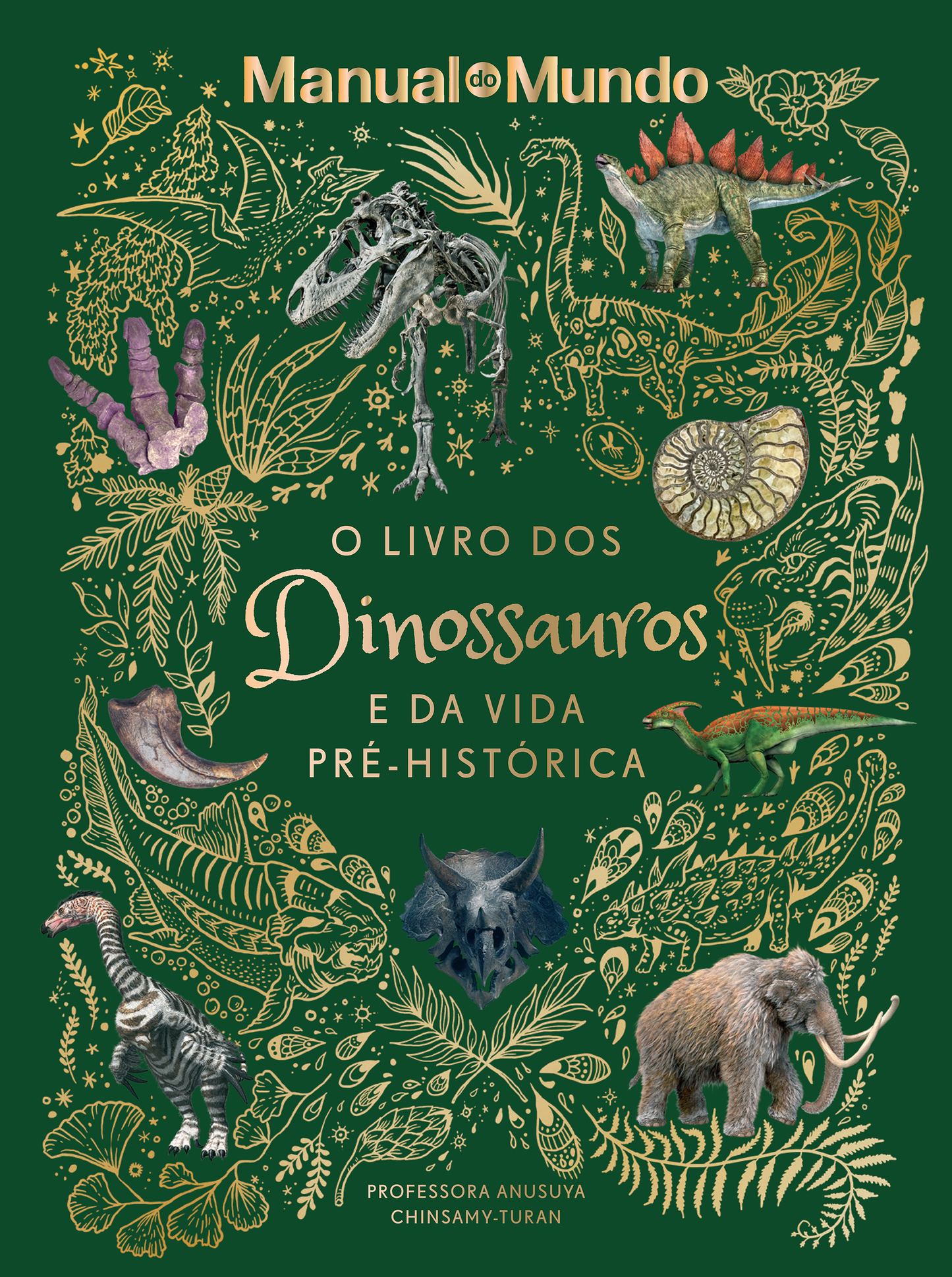 O livro dos dinossauros e da vida pré-histórica