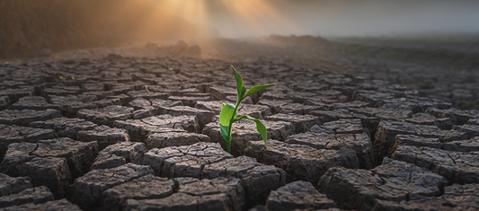 7 histórias inspiradoras que transformam dor em coragem