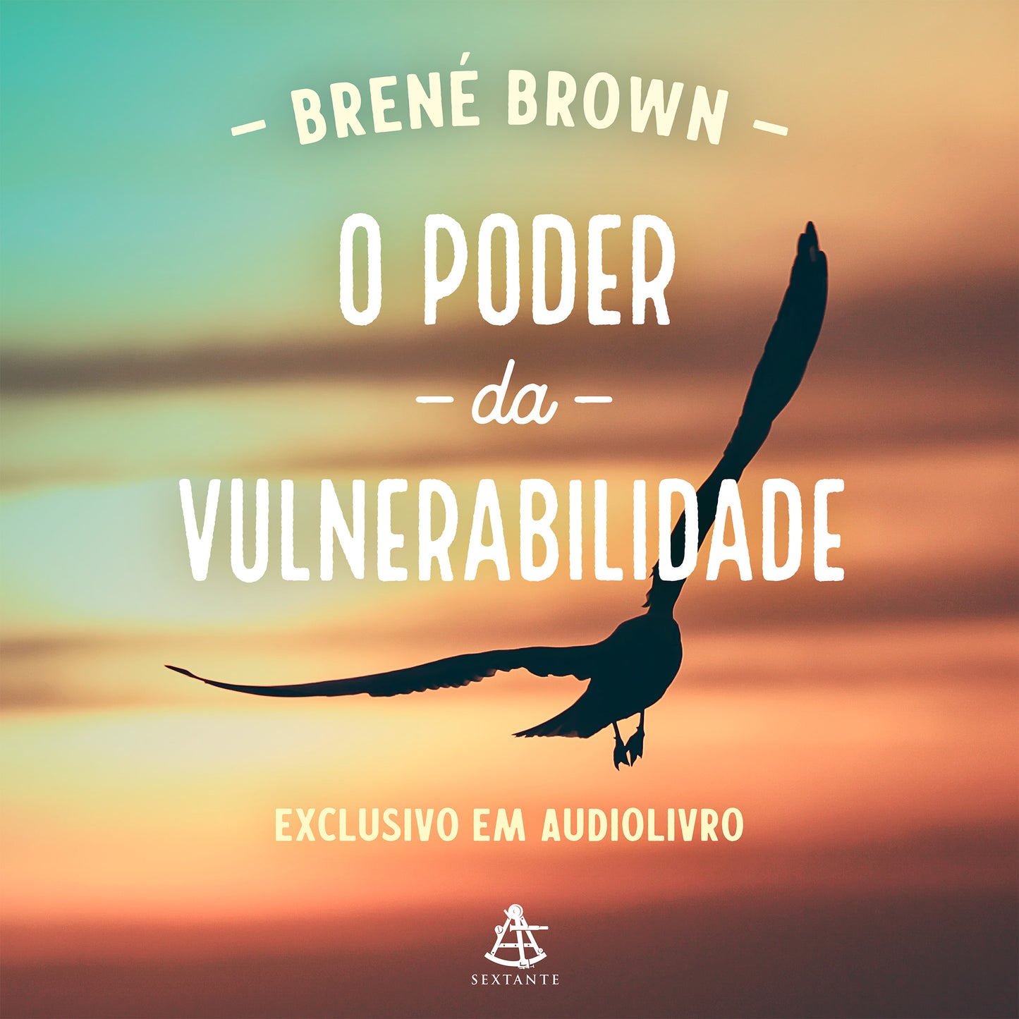 O poder da vulnerabilidade