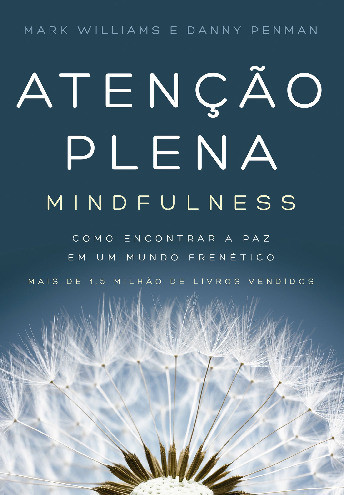 Atenção plena (Mindfulness)