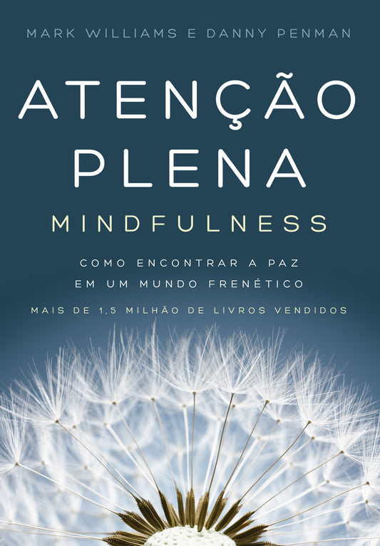 Atenção plena (Mindfulness)