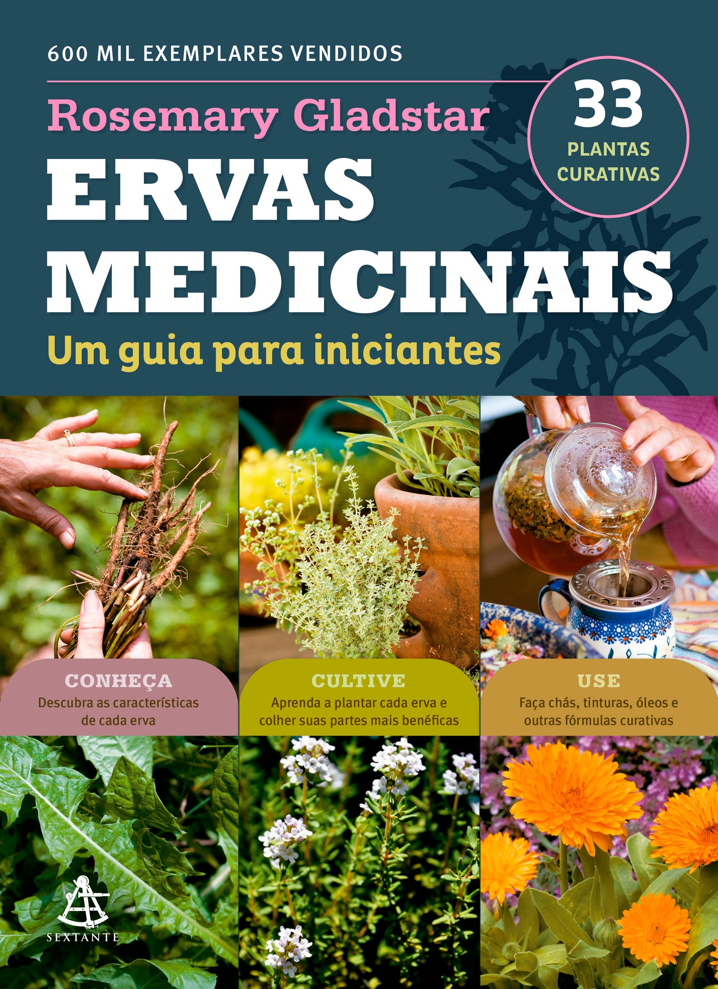 Ervas medicinais