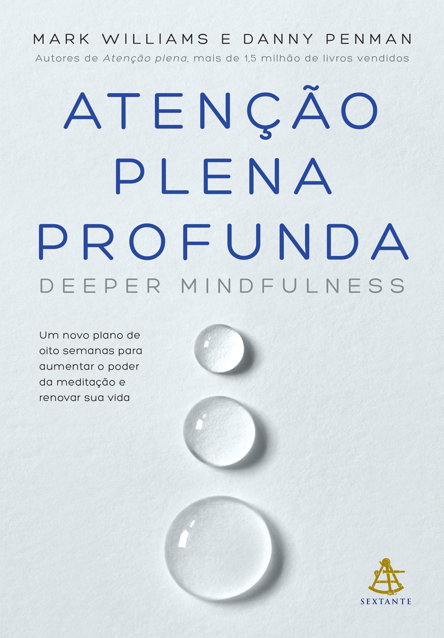 Atenção plena profunda (Deeper Mindfulness)