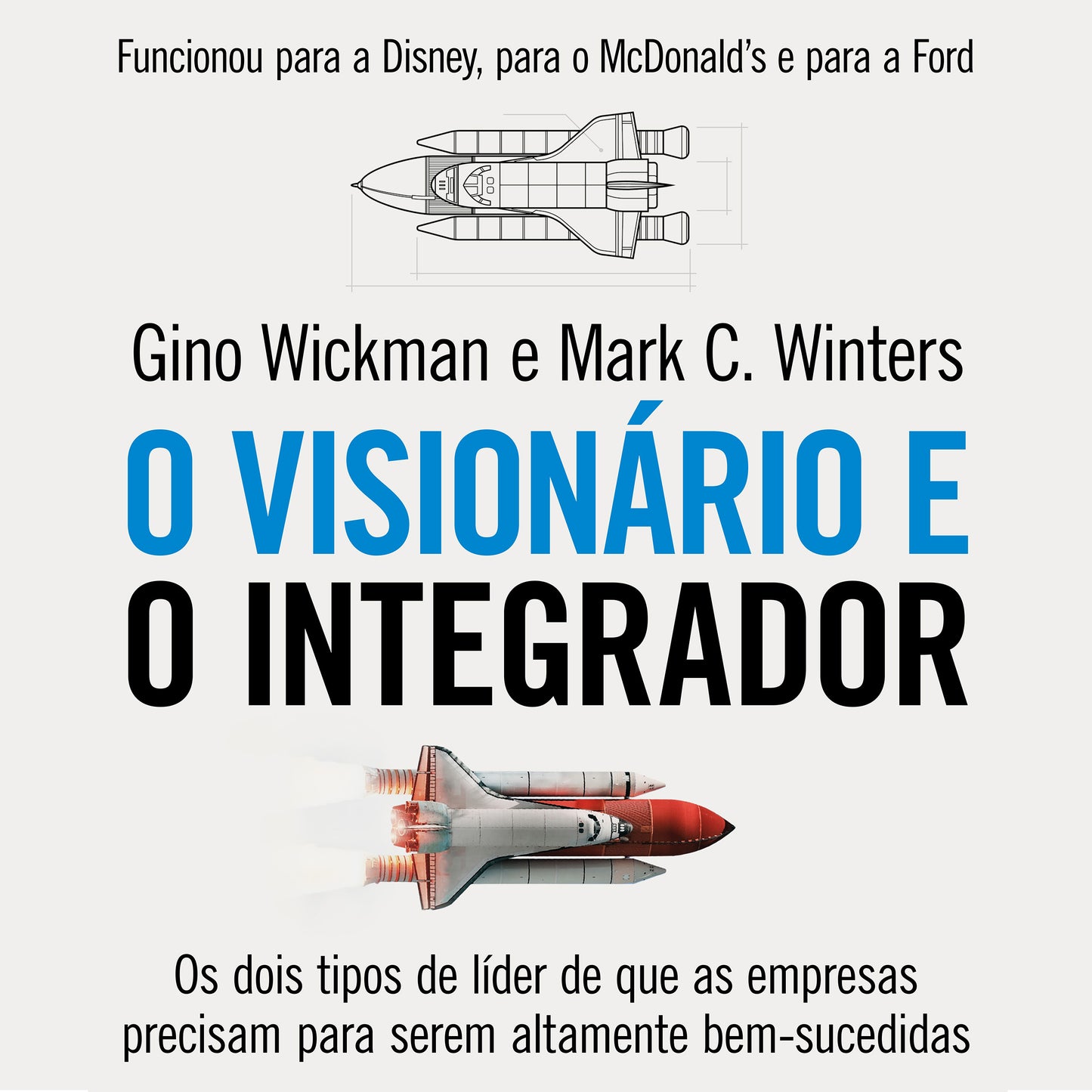 O visionário e o integrador
