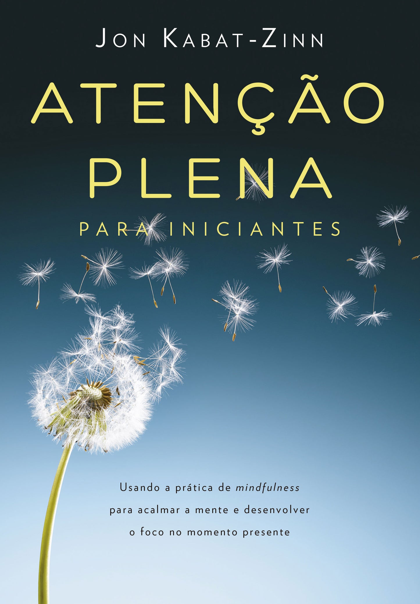Atenção plena para iniciantes