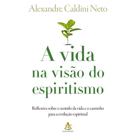 A vida na visão do espiritismo