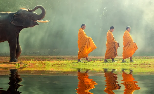 Como o budismo ajuda a lidar com as ilusões do nosso dia a dia